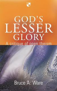 Image of God's Lesser Glory: A Critique of Open Theism