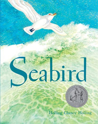 Image of Seabird