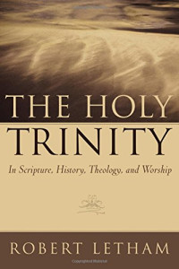 Image of The Holy Trinity: In Scripture, History, Theology, and Worship