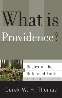 Image of What is Providence?