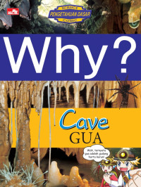 Image of Why? Cave (Gua)