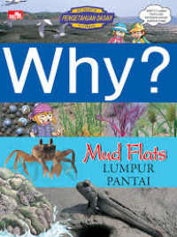 Image of Why? Mud Flats (Lumpur Pantai)